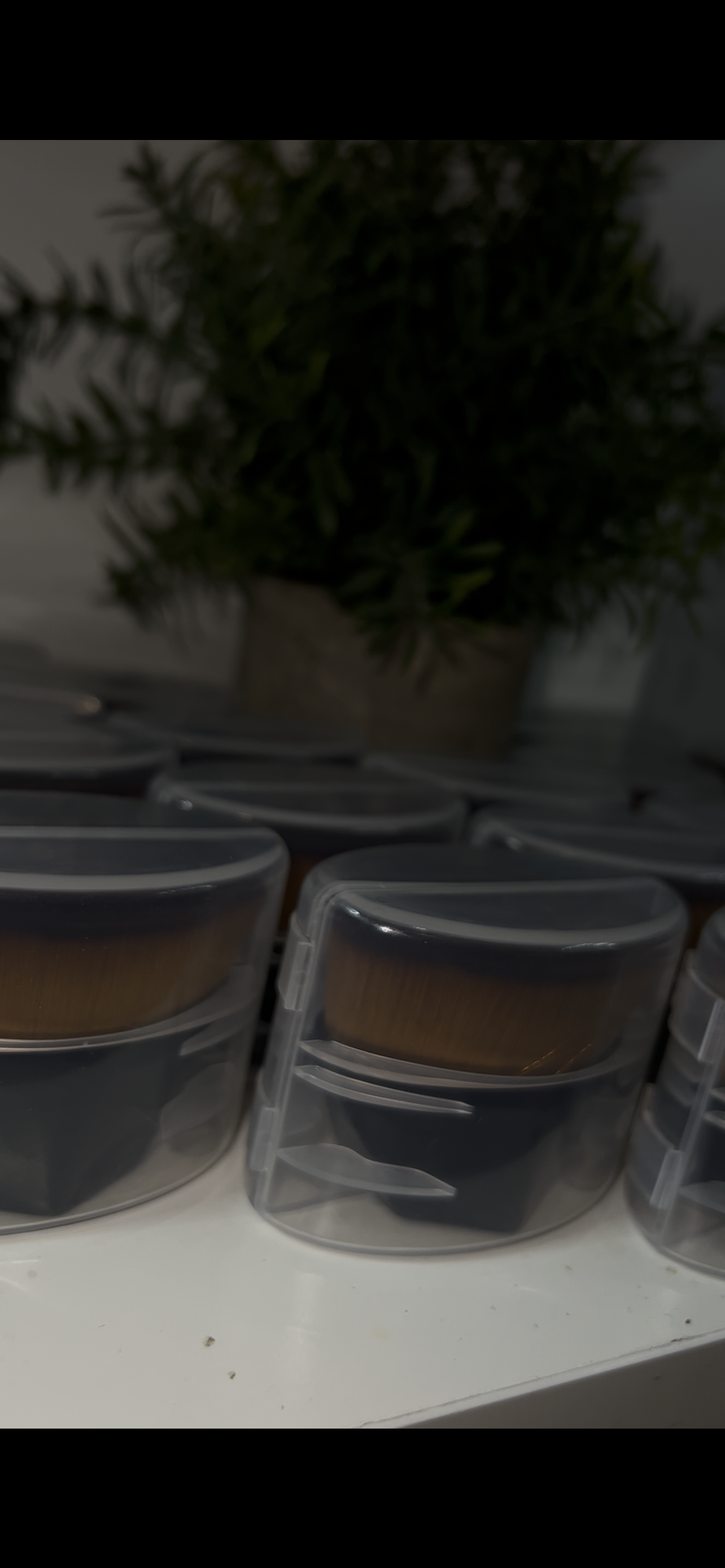 Halo Dust: Luminous Skin Finish